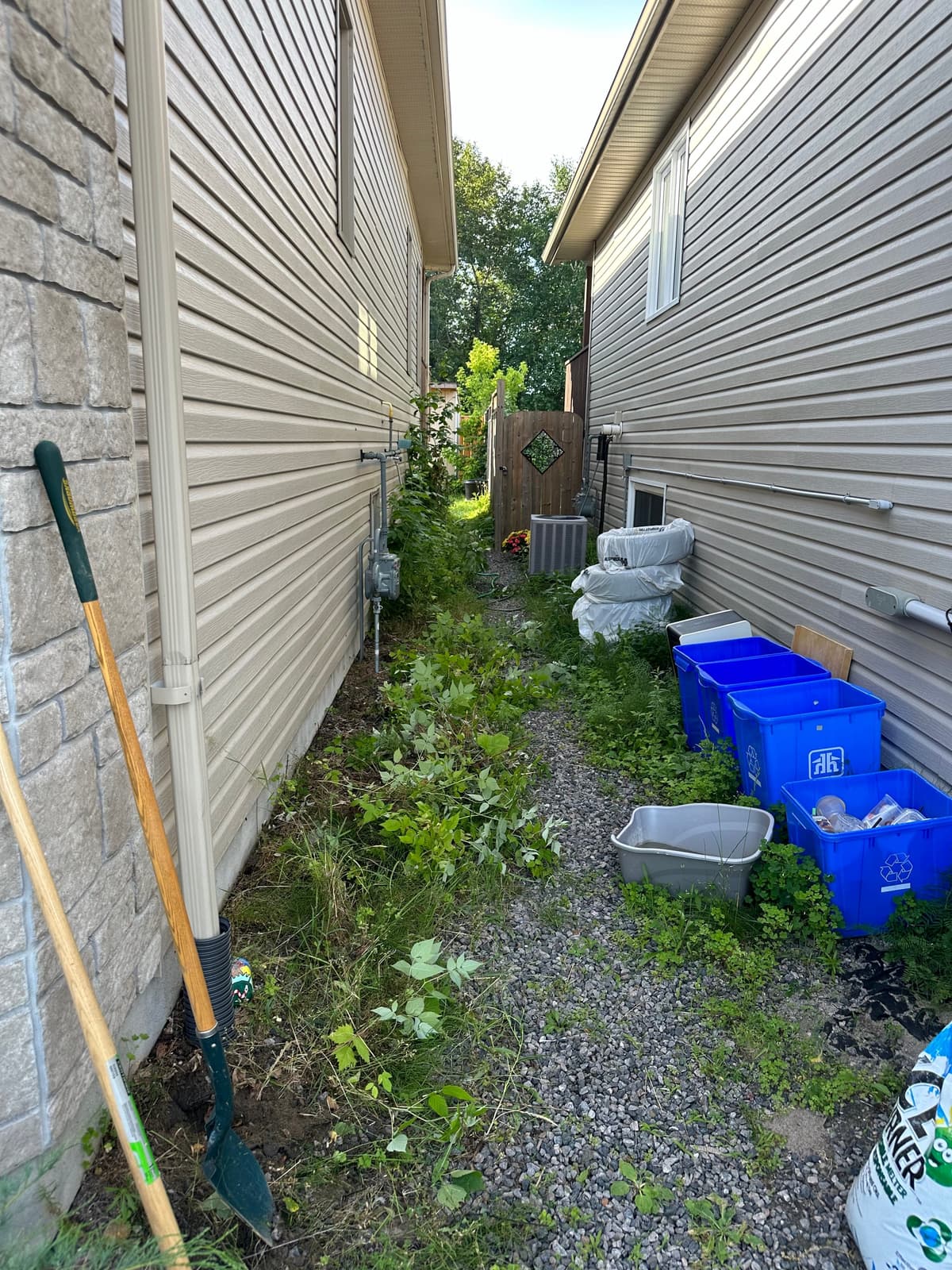 Before